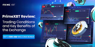Discover the Future of Forex and Crypto with Trade PrimeXBT Discover the Future of Forex and Crypto with Trade PrimeXBT